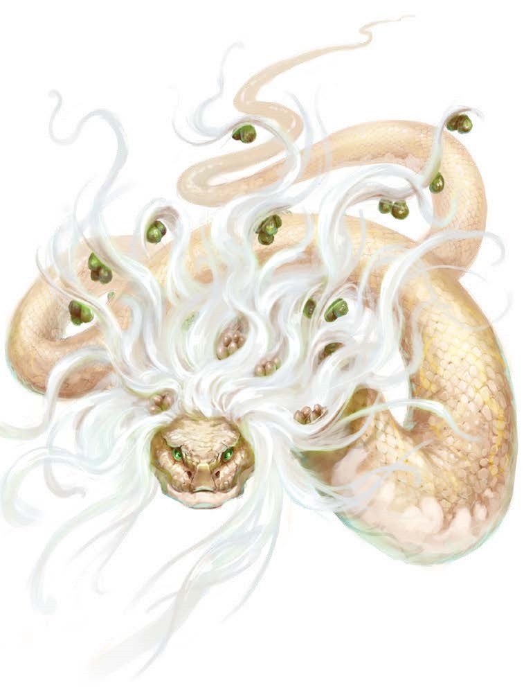 Portrait of Mazludeh